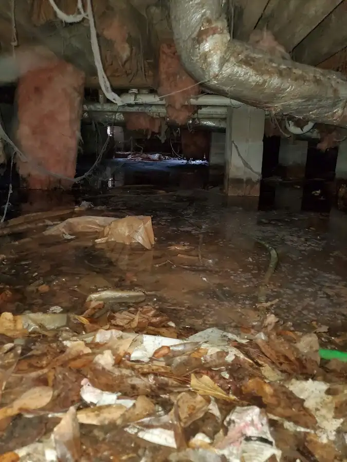 Crawl space flood assessment for Leak Detection & Repair in Southlake